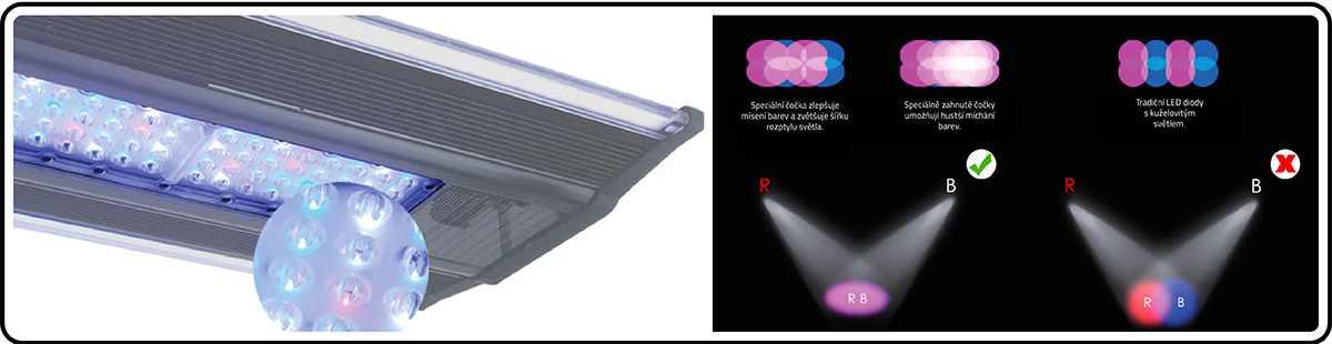 Zetlight Qmaven II diody